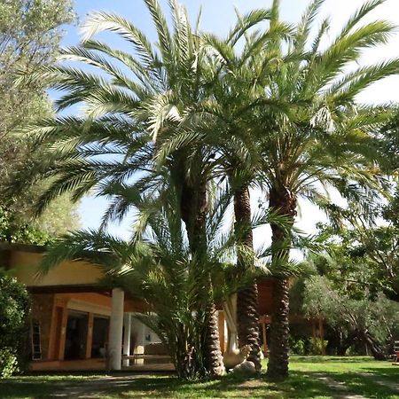 Villaggio Garden Park Marina di Camerota Bagian luar foto