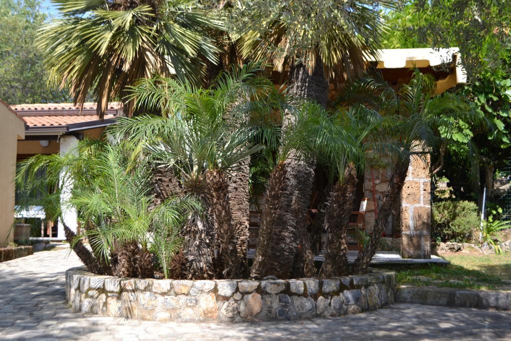 Villaggio Garden Park Marina di Camerota Bagian luar foto