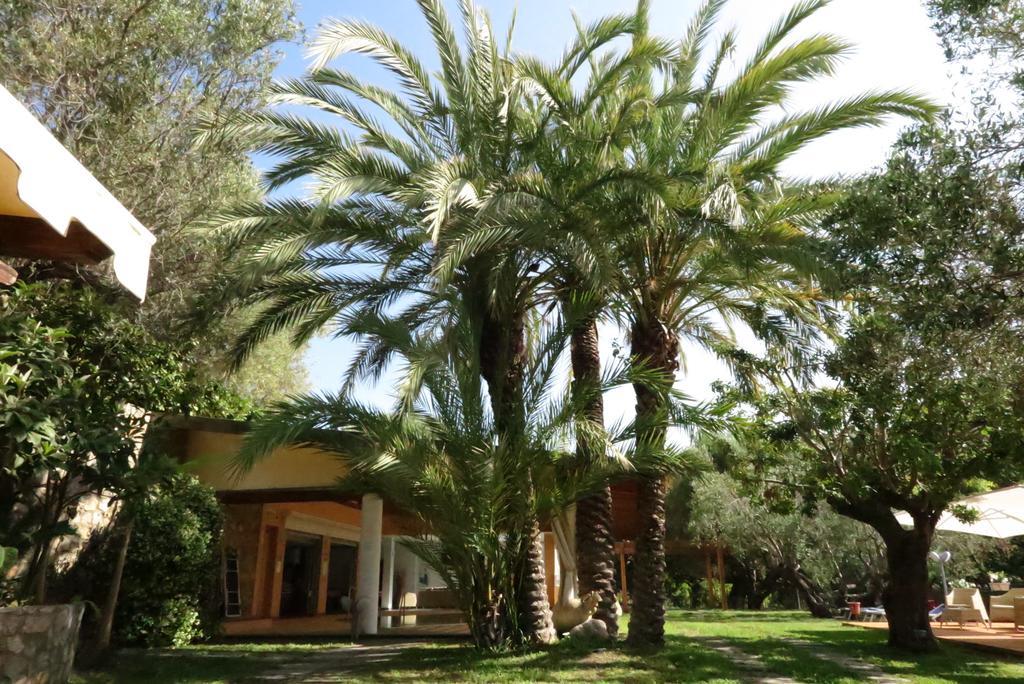 Villaggio Garden Park Marina di Camerota Bagian luar foto